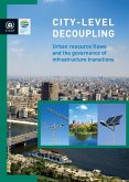 City-Level Decoupling (eBook, PDF)