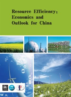 Resource Efficiency: Economics and Outlook for China (eBook, PDF)