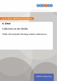 Callcenter in der Kritik (eBook, PDF)