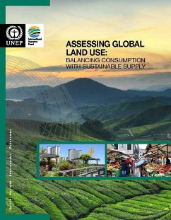 Cover Assessing Global Land use (eBook, PDF)