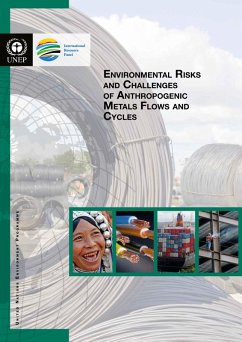 Cover Environmental Risks and Challenges of Anthropogenic Metals Flows and Cycles (eBook, PDF)