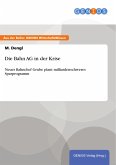 Die Bahn AG in der Krise (eBook, PDF)