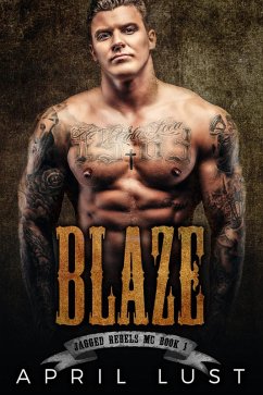 Cover Blaze (Book 1) (eBook, ePUB)