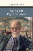 Abriss der Psychoanalyse (eBook, ePUB)