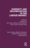 Diversity and Decomposition in the Labour Market (eBook, ePUB)