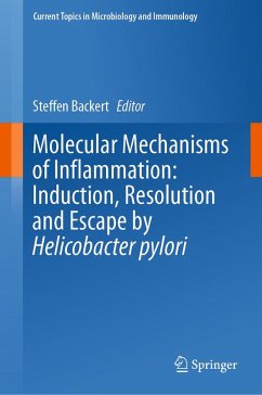 Molecular Mechanisms of Inflammation: Induction, Resolution and Escape by Helicobacter pylori (eBook, PDF)