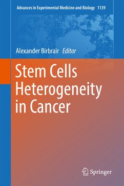 Stem Cells Heterogeneity in Cancer (eBook, PDF)