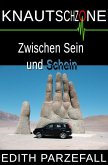 Knautschzone: Zwischen Sein und Schein (eBook, ePUB) Knautschzone: Zwischen Sein und Schein (eBook, ePUB)