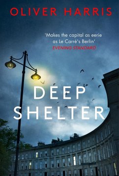 Cover Deep Shelter (eBook, ePUB)