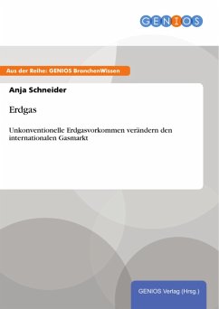 Erdgas (eBook, PDF) - Schneider, Anja