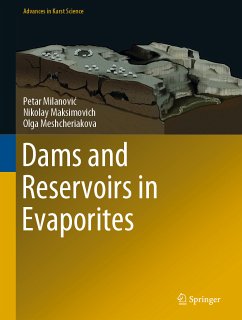 Dams and Reservoirs in Evaporites (eBook, PDF) - Milanović, Petar; Maksimovich, Nikolay; Meshcheriakova, Olga