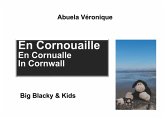 En Cornouaille (eBook, ePUB)