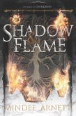 Shadow & Flame (eBook, ePUB)
