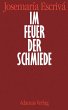 Im Feuer der Schmiede (eBook, ePUB) - Bild 1