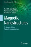 Magnetic Nanostructures (eBook, PDF)