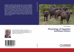 Physiology of Egyptian buffaloes heifers