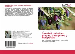 Sanidad del olivo: plagas, patógenos y fisiopatías