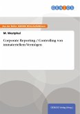 Corporate Reporting / Controlling von immateriellem Vermögen (eBook, PDF)