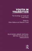 Youth in Transition (eBook, PDF)
