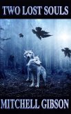 Two Lost Souls (eBook, ePUB)