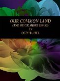 Our Common Land (eBook, ePUB)