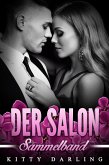 Der Salon (eBook, ePUB)