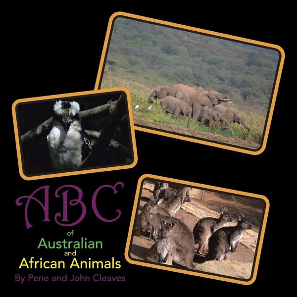 Abc of Australian and African Animals Abc of Australian and African Animals