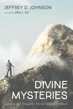 Divine Mysteries - Johnson, Jeffrey D.