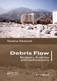 Debris Flow