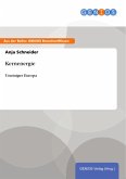 Kernenergie (eBook, PDF)