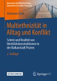 Multiethnizität in Alltag und Konflikt (eBook, PDF)