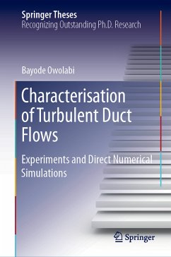Characterisation of Turbulent Duct Flows (eBook, PDF) - Owolabi, Bayode