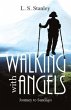 Walking with Angels (eBook, ePUB) - Bild 1
