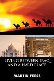 LIVING BETWEEN IRAQ AND A HARD PLACE (eBook, ePUB)