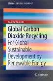 Global Carbon Dioxide Recycling (eBook, PDF)