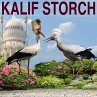 Kalif Storch (MP3-Download) - Bild 1