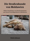 Die Straßenhunde von Moldawien (eBook, ePUB)