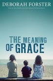 The Meaning Of Grace (eBook, ePUB) The Meaning Of Grace (eBook, ePUB)