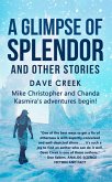 A Glimpse of Splendor (eBook, ePUB)