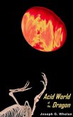 Acid World of the Dragon (Dragon World, #6) (eBook, ePUB)