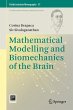 Mathematical Modelling and Biomechanics... - Bild 1