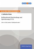 Kohlendioxid-Abscheidung und Speicherung (CCS) (eBook, PDF)