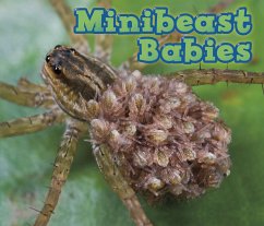 Cover Minibeast Babies (eBook, PDF)
