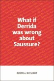 What if Derrida was wrong about Saussure? (eBook, ePUB) What if Derrida was wrong about Saussure? (eBook, ePUB)