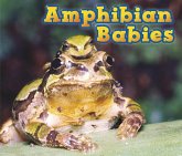 Amphibian Babies (eBook, PDF) Amphibian Babies (eBook, PDF)