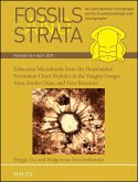 Ediacaran Microfossils from the Doushantuo Formation Chert Nodules in the Yangtze Gorges Area, South China, and New Biozones (eBook, PDF)