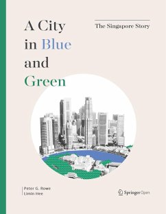 A City in Blue and Green - Rowe, Peter G;Hee, Limin