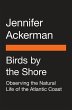 Birds by the Shore (eBook, ePUB) - Bild 1