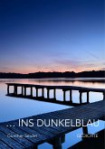 ins dunkelblau (eBook, ePUB)