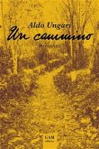 Un cammino (eBook, ePUB)